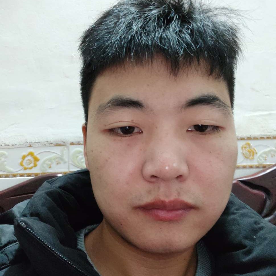 房东的$猫的照片