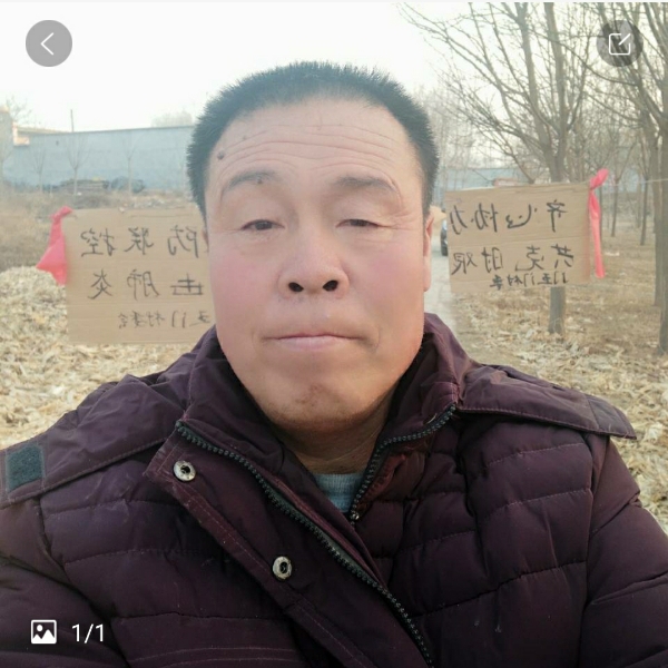 搞怪花瓣陈金才的照片