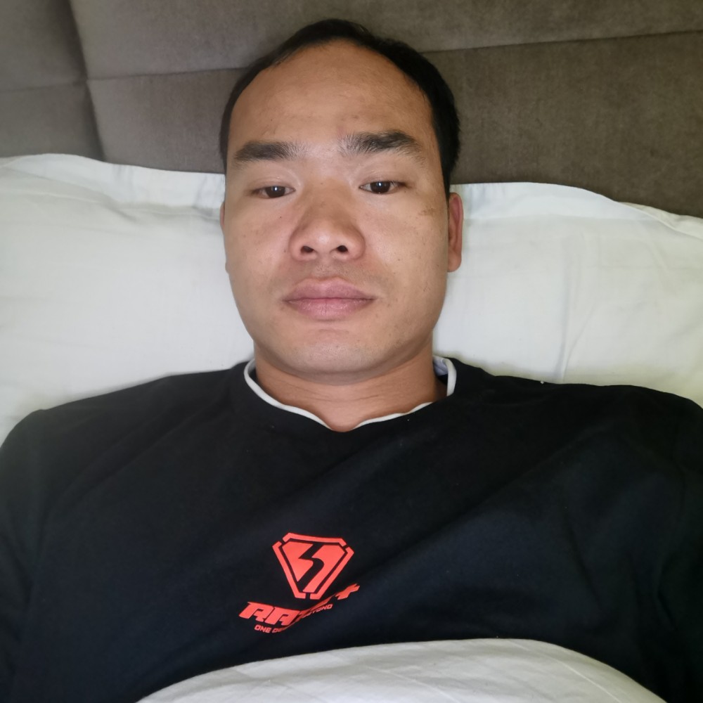 康乃馨还友好的照片