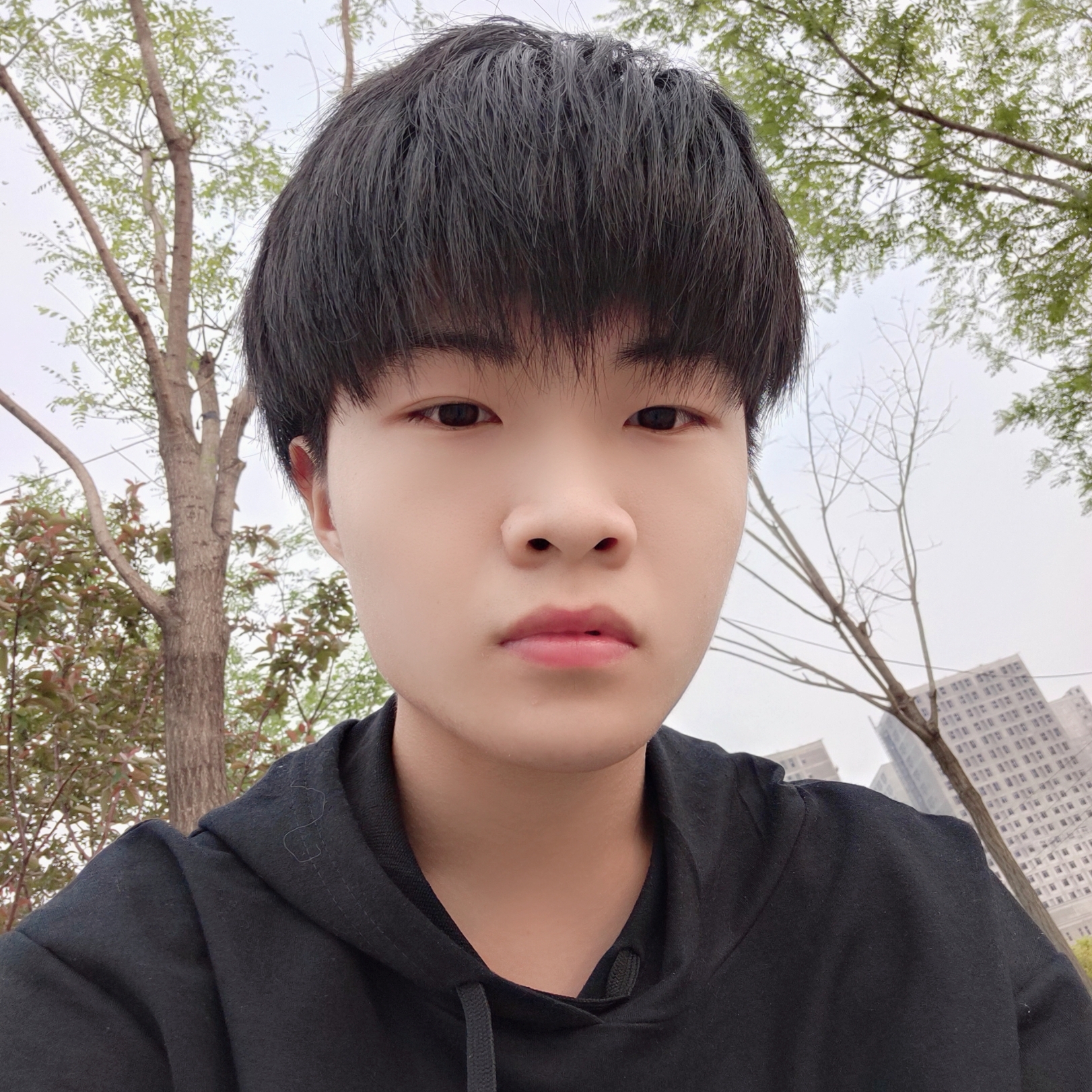 .晨的照片