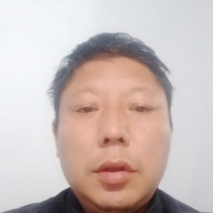 草原雄狼的照片