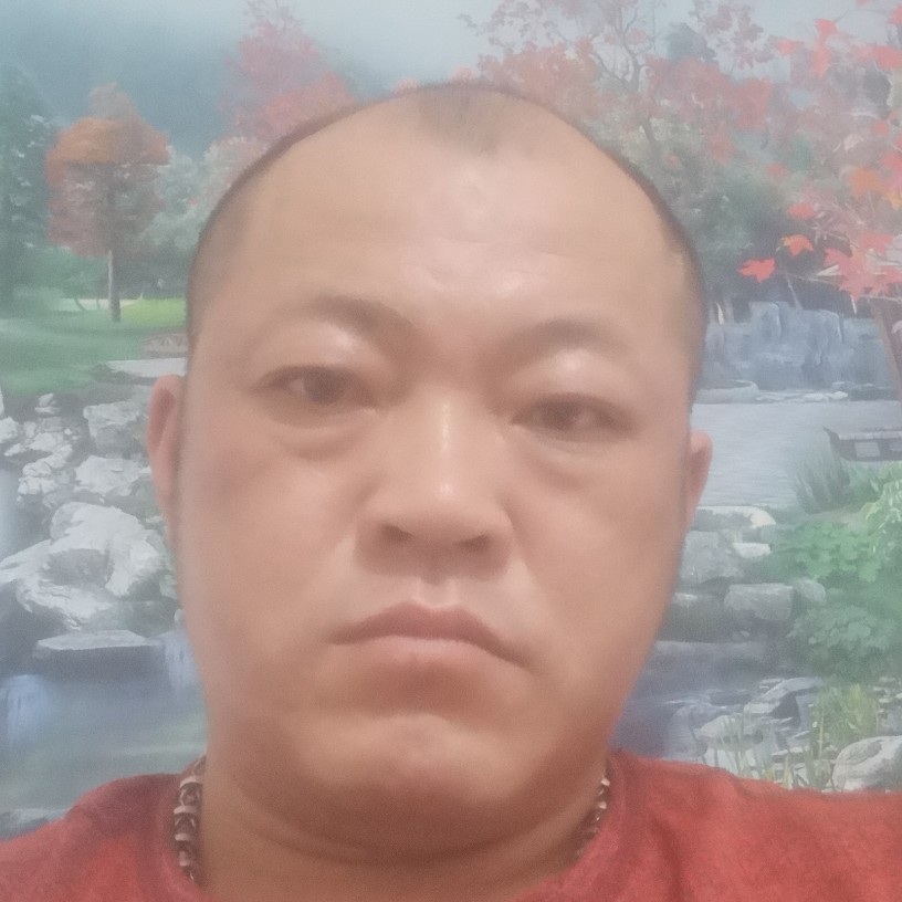 火焰木的照片