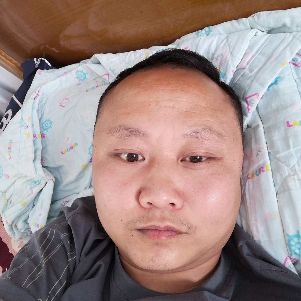 金鱼与细腻的照片