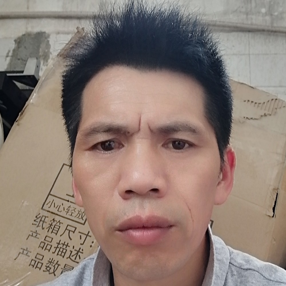 孤單停止枕头的照片