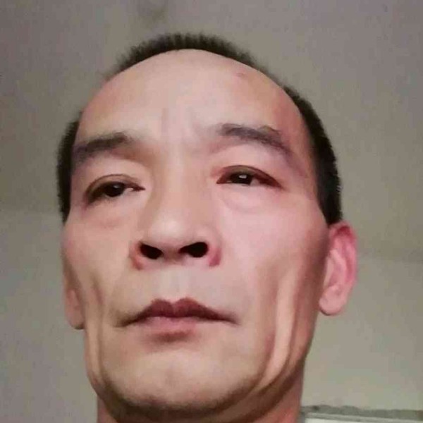 猫咪等待单纯的照片