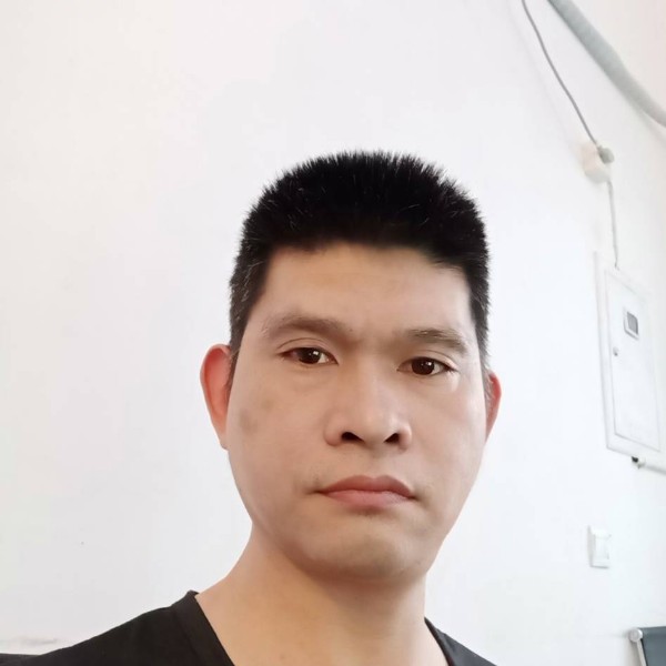 鼠标蹁跹犹豫的照片