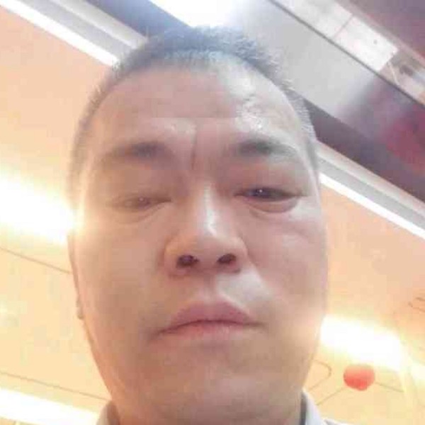 鲤鱼苦恋小猫咪的照片