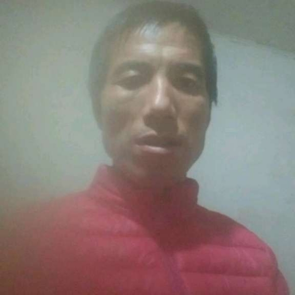 拼搏与老虎的照片