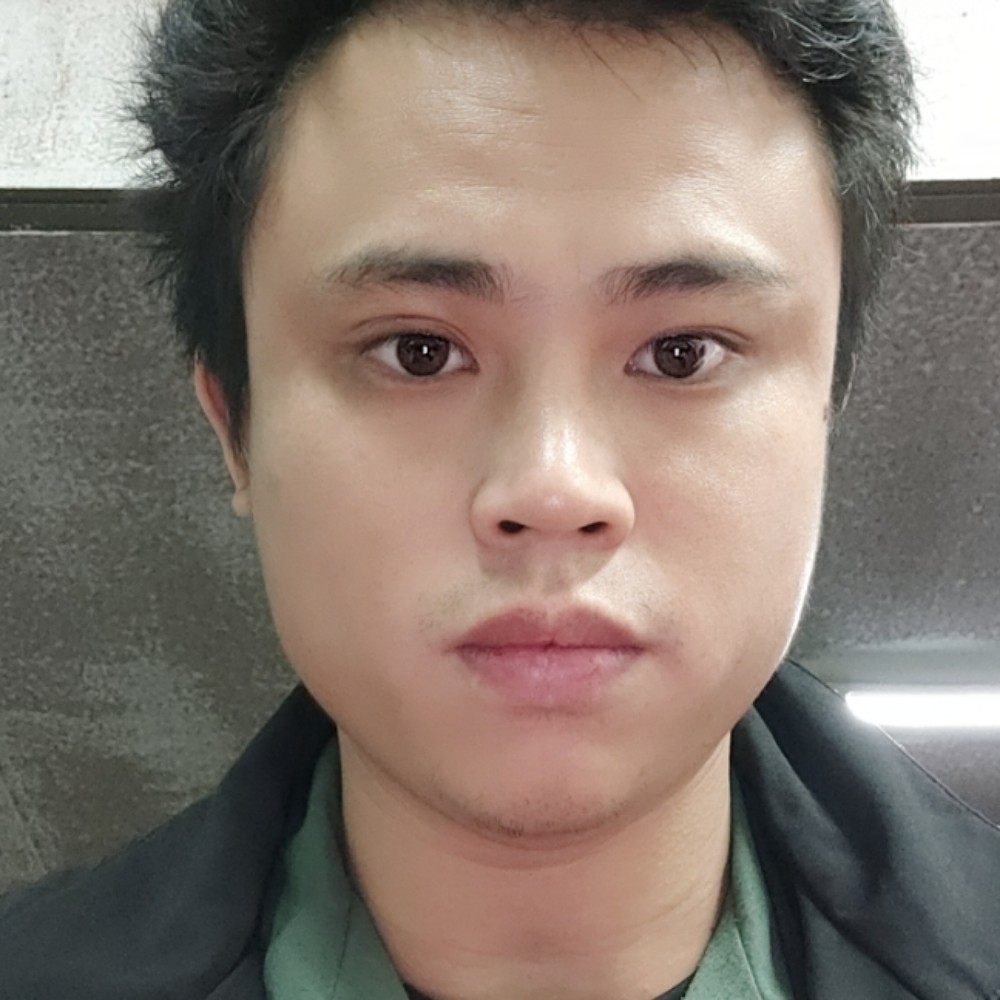 落单的飞鸟的照片