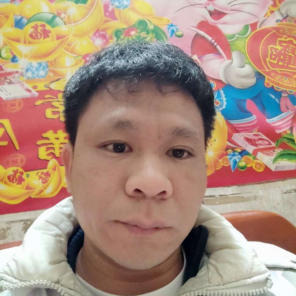 星星倾心鲤鱼的照片