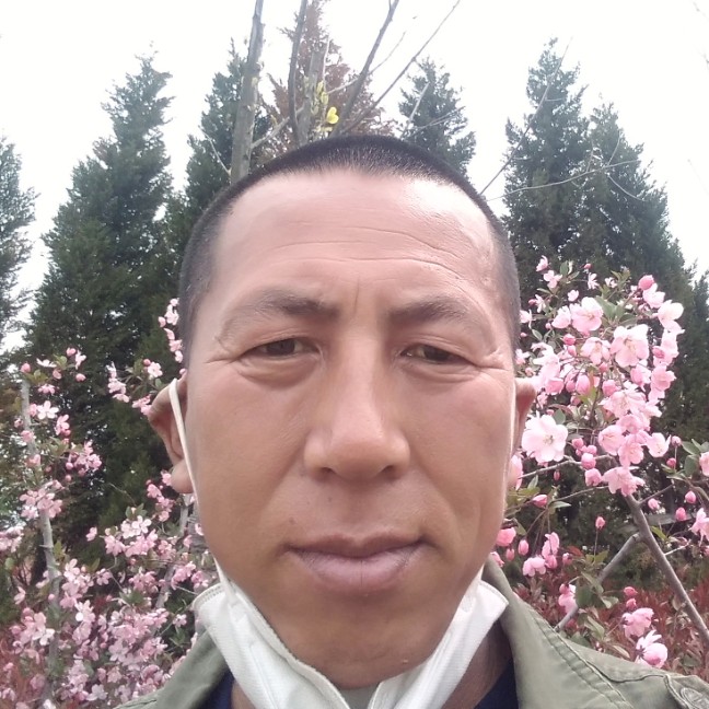 大门就文艺虎哥的照片