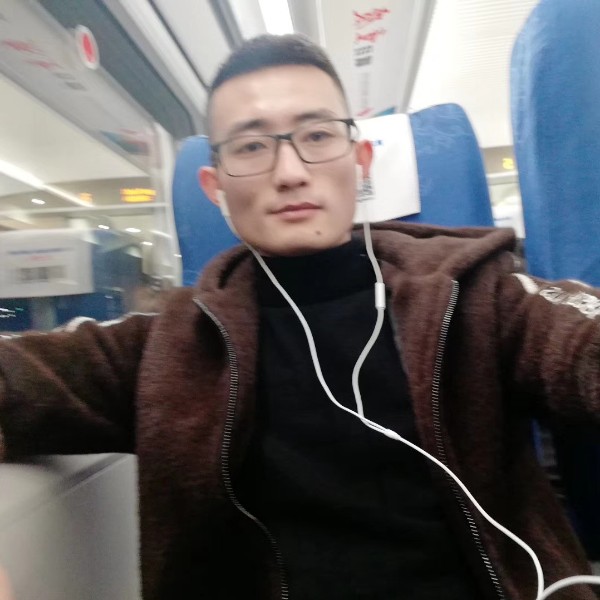 灰狼冷傲的照片