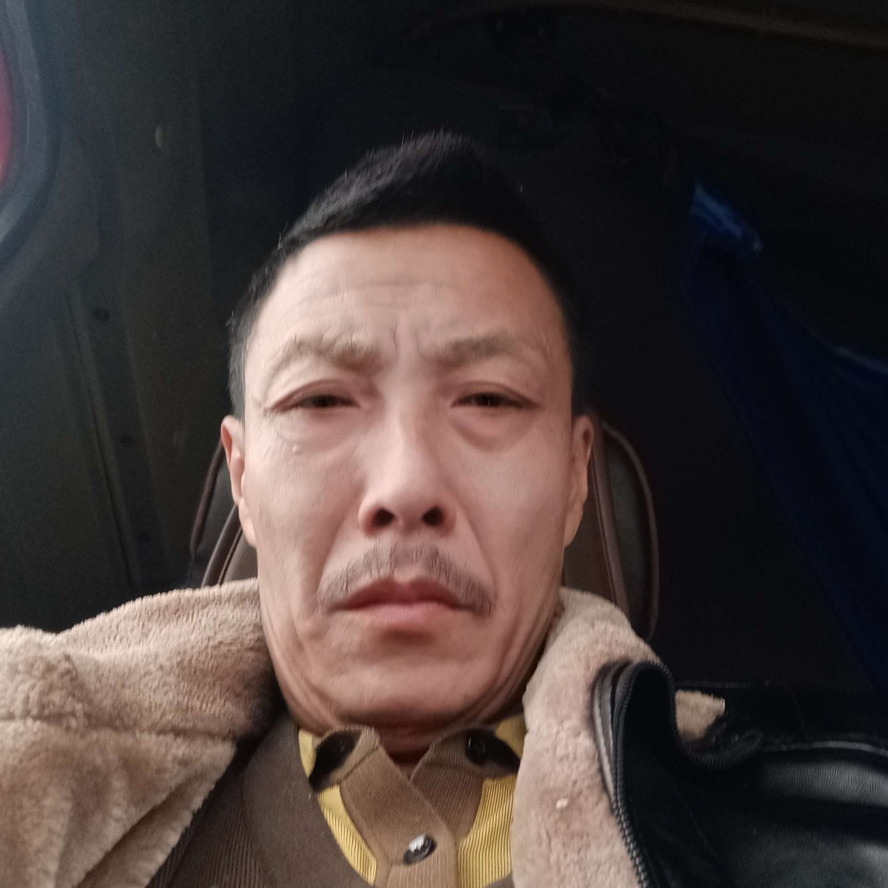 不解的倾心白猫的照片