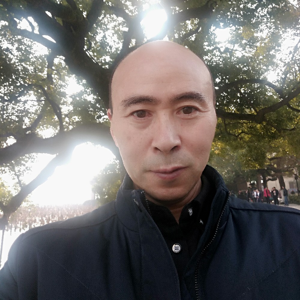 奋斗枫叶的照片