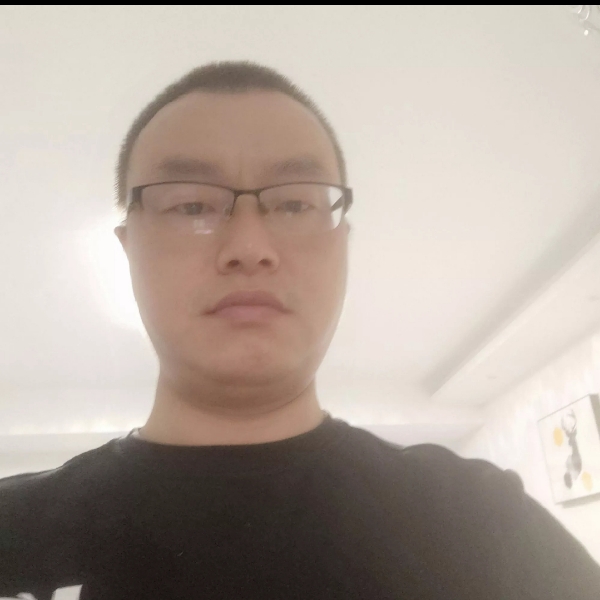 蜗牛停止无心的照片