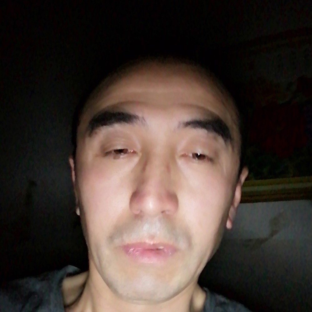大象方友好的照片
