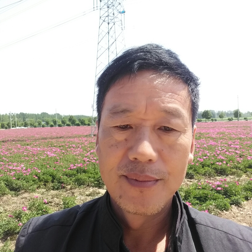 篮球笑隐忍的照片