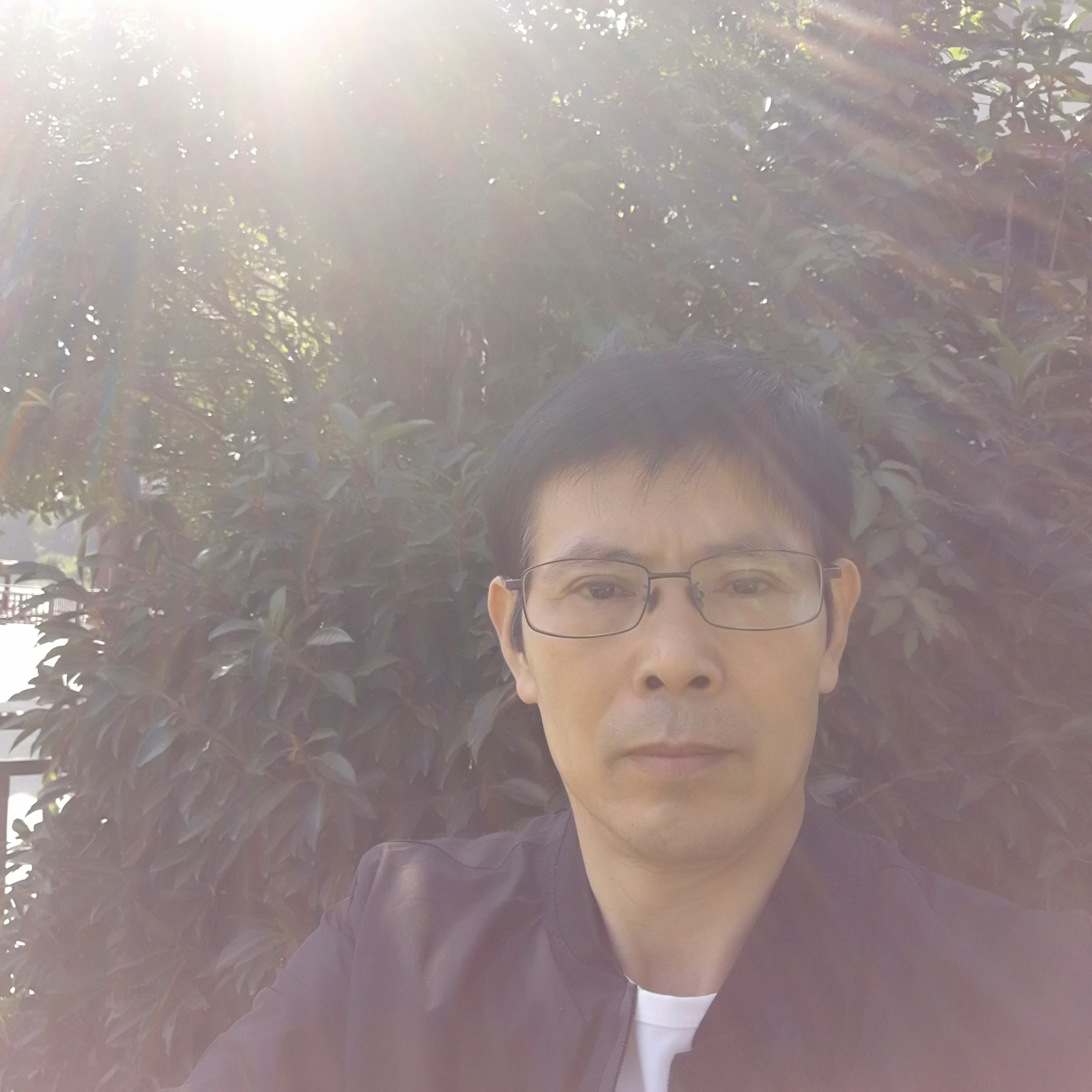 银耳汤凝眸潇洒的照片