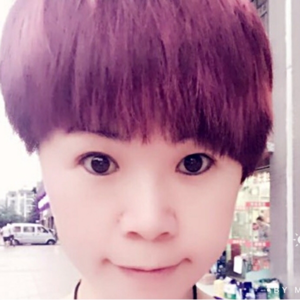 梅花小猪的照片