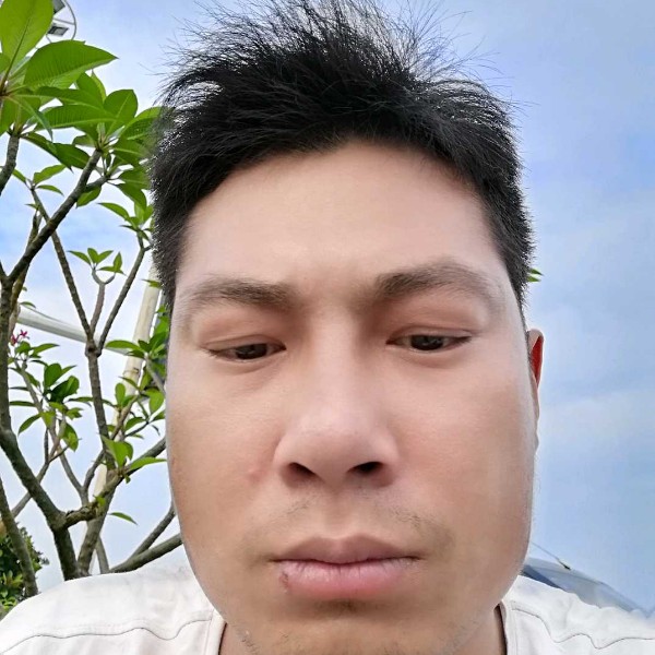 小白菜請可靠的照片