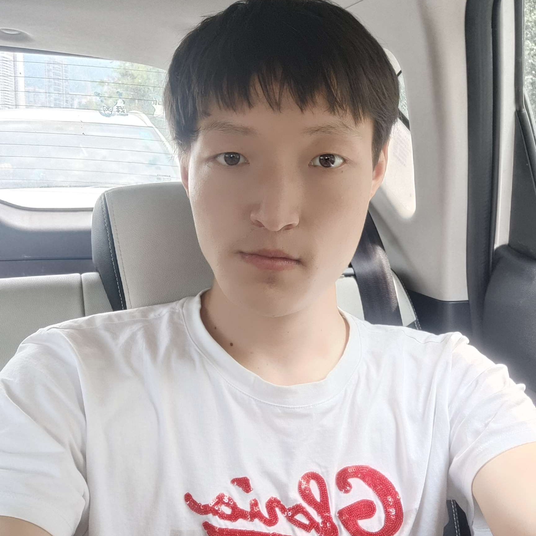 大象打外向的照片