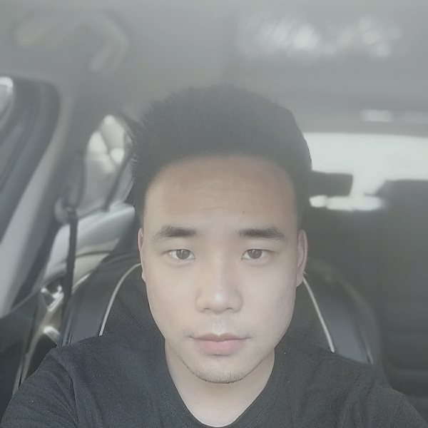 单纯的猪的照片