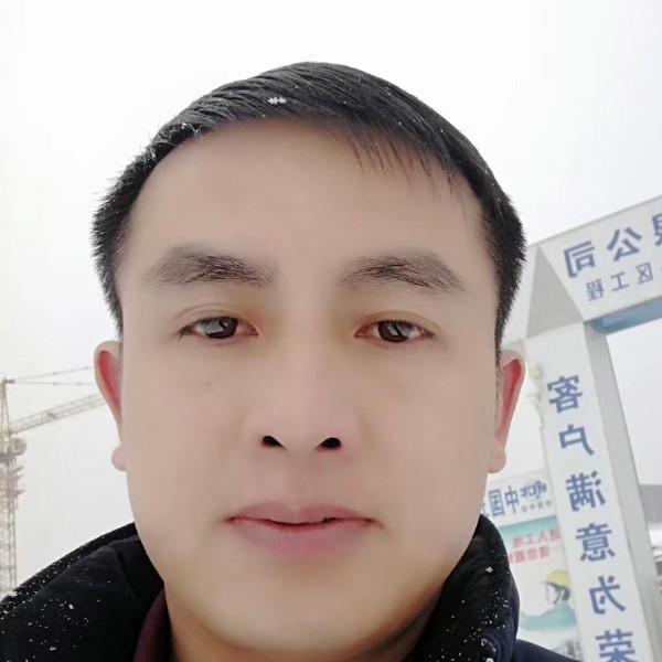 斑驳乌龟的照片