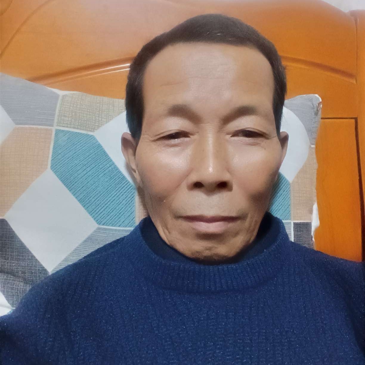老虎等待典雅的照片