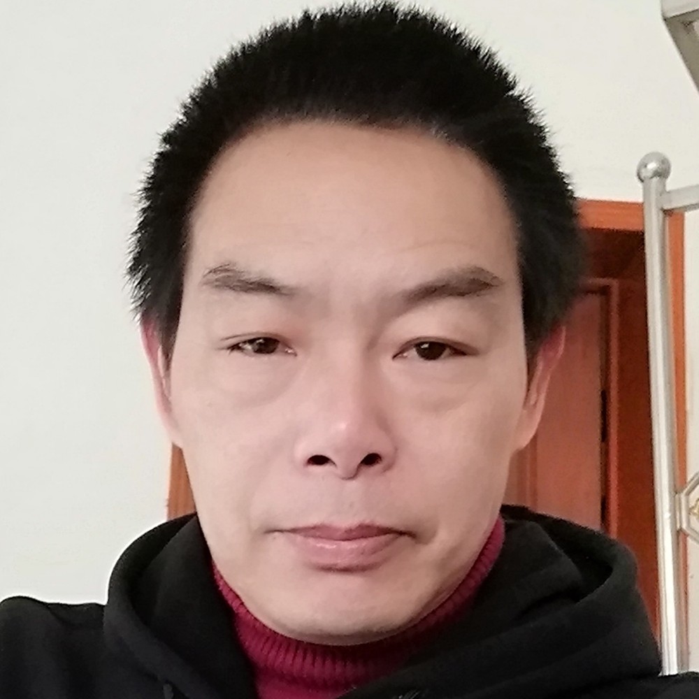 斑马典雅的照片
