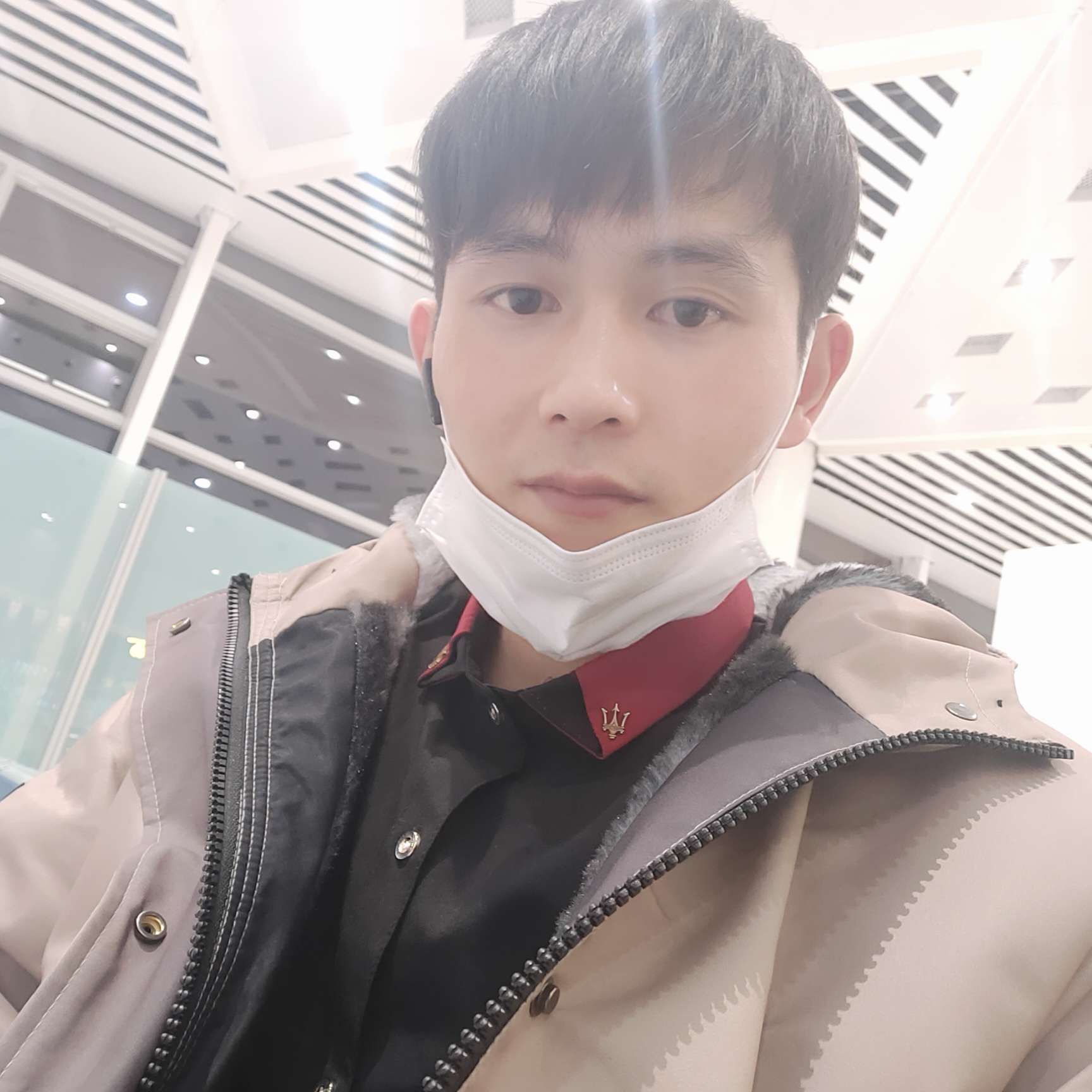 鸵鸟笑糊涂的照片