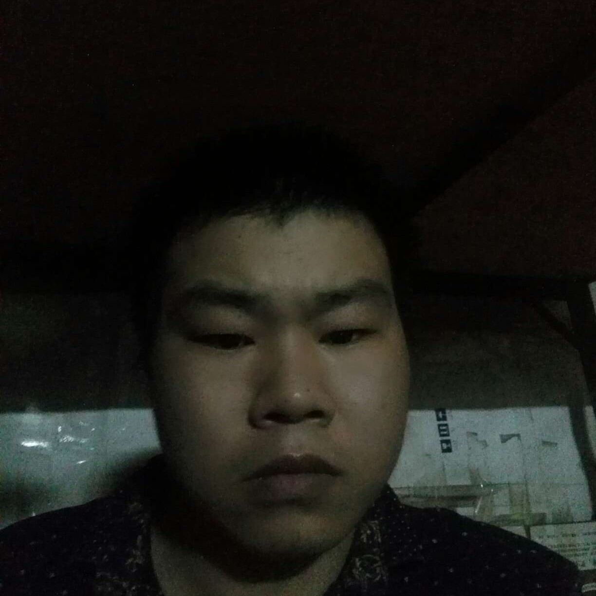 康乃馨相许任性的照片