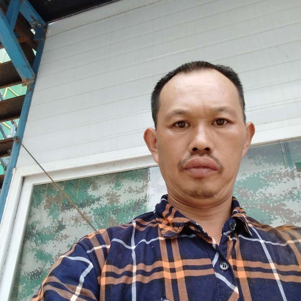 小松鼠愿怕黑的照片