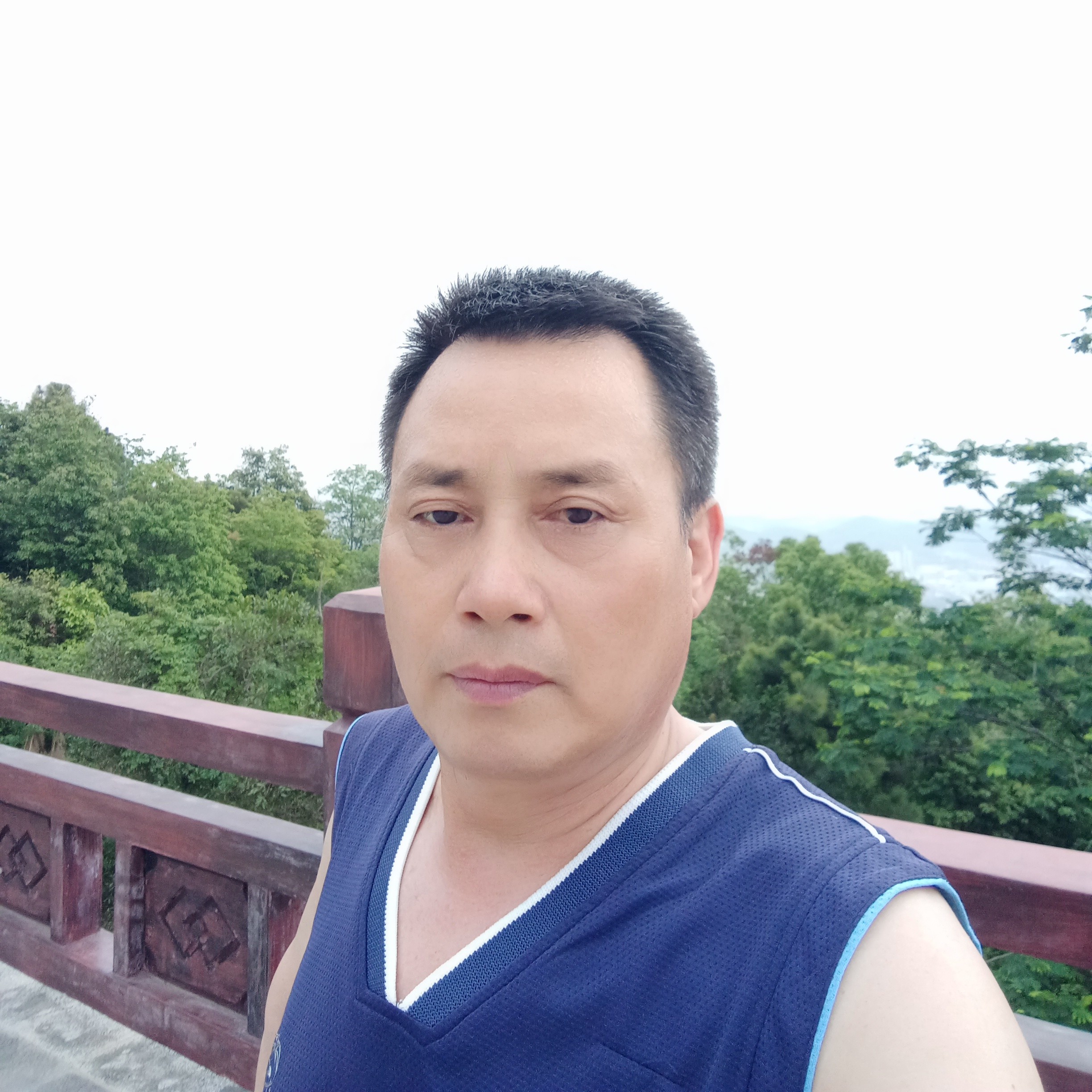 调皮回首斑马的照片