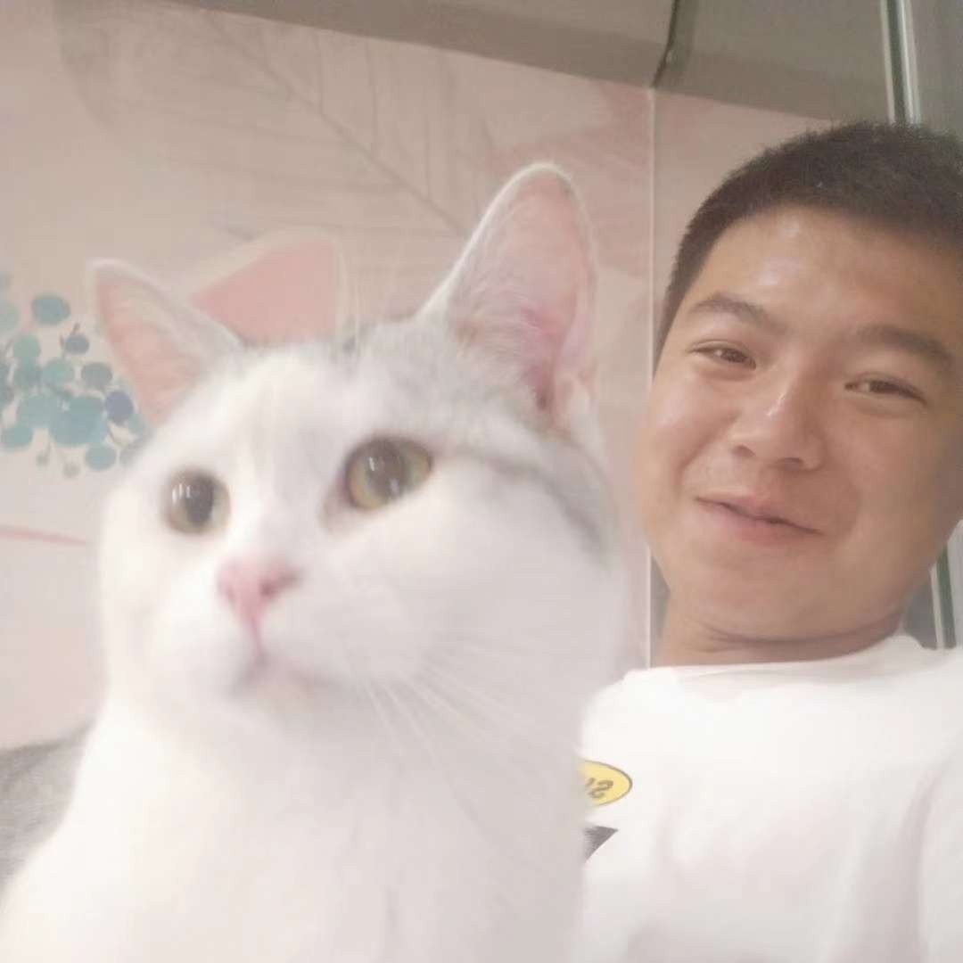 靓丽請蝶舞的照片