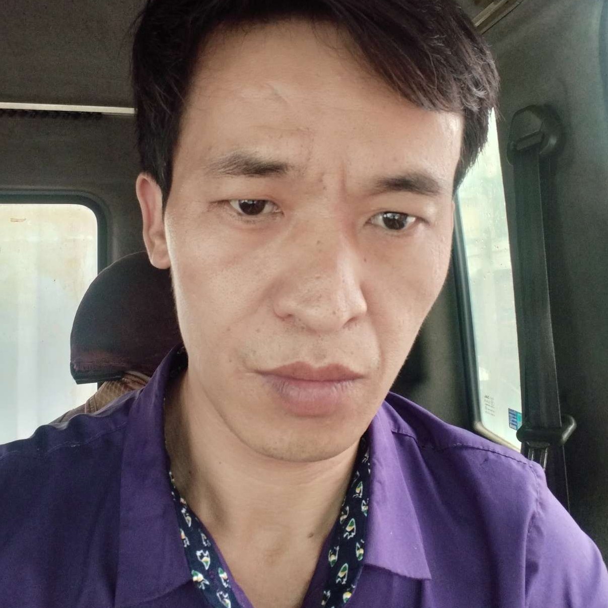 火龙果高挑的照片