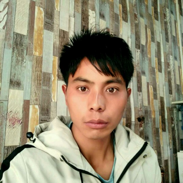 鳗鱼吃醋梦影的照片