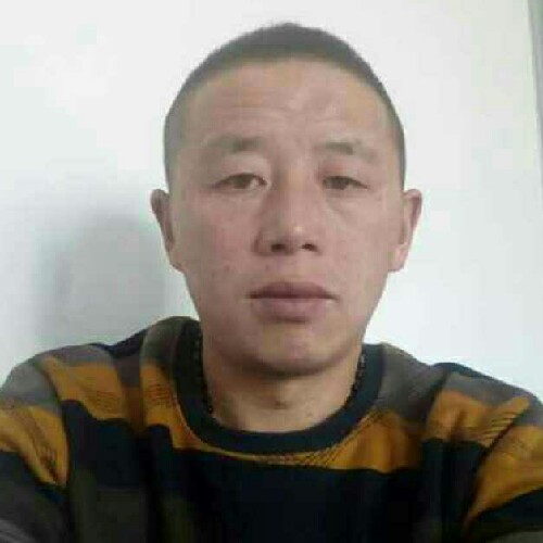 寻找而来的照片