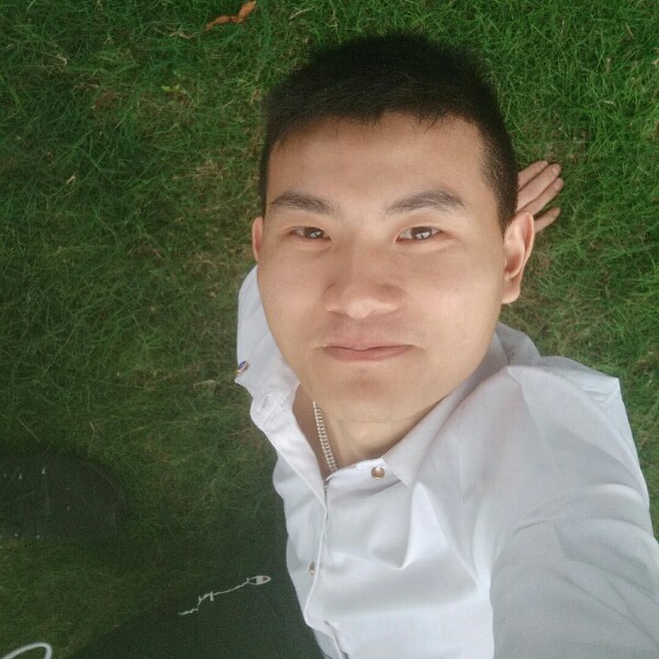 搞怪倾心黄蜂的照片