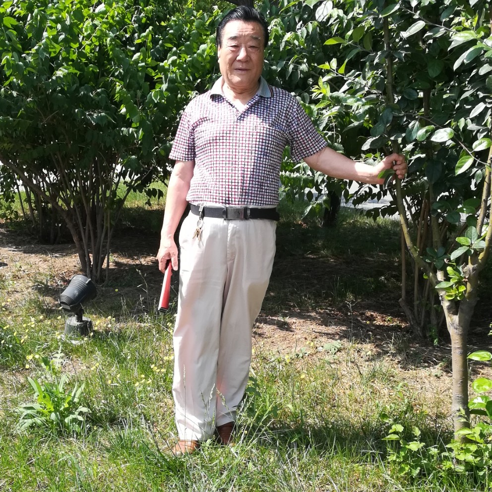 金圣御的照片
