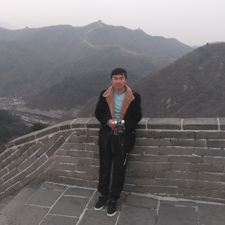 小刺猬愿朴实的照片