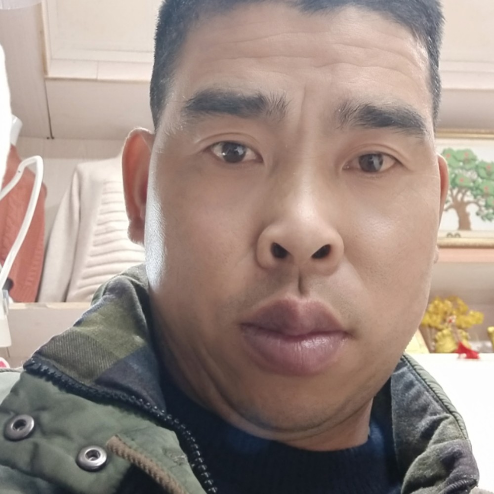 蝶舞天海的照片