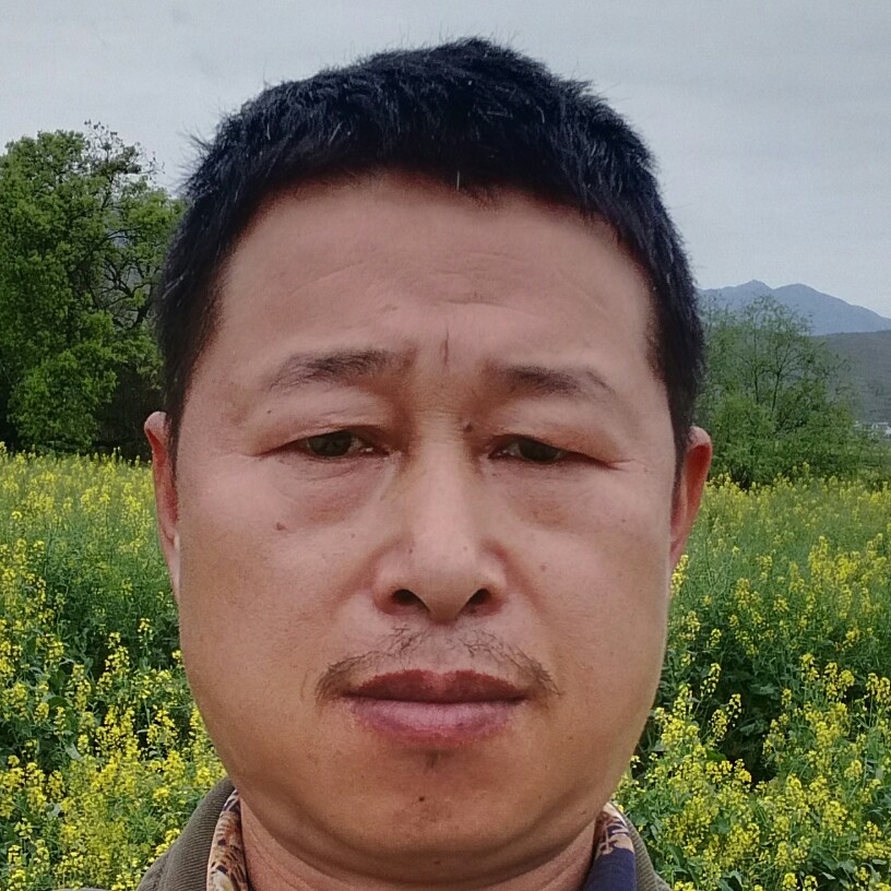 钢笔的儒雅的照片