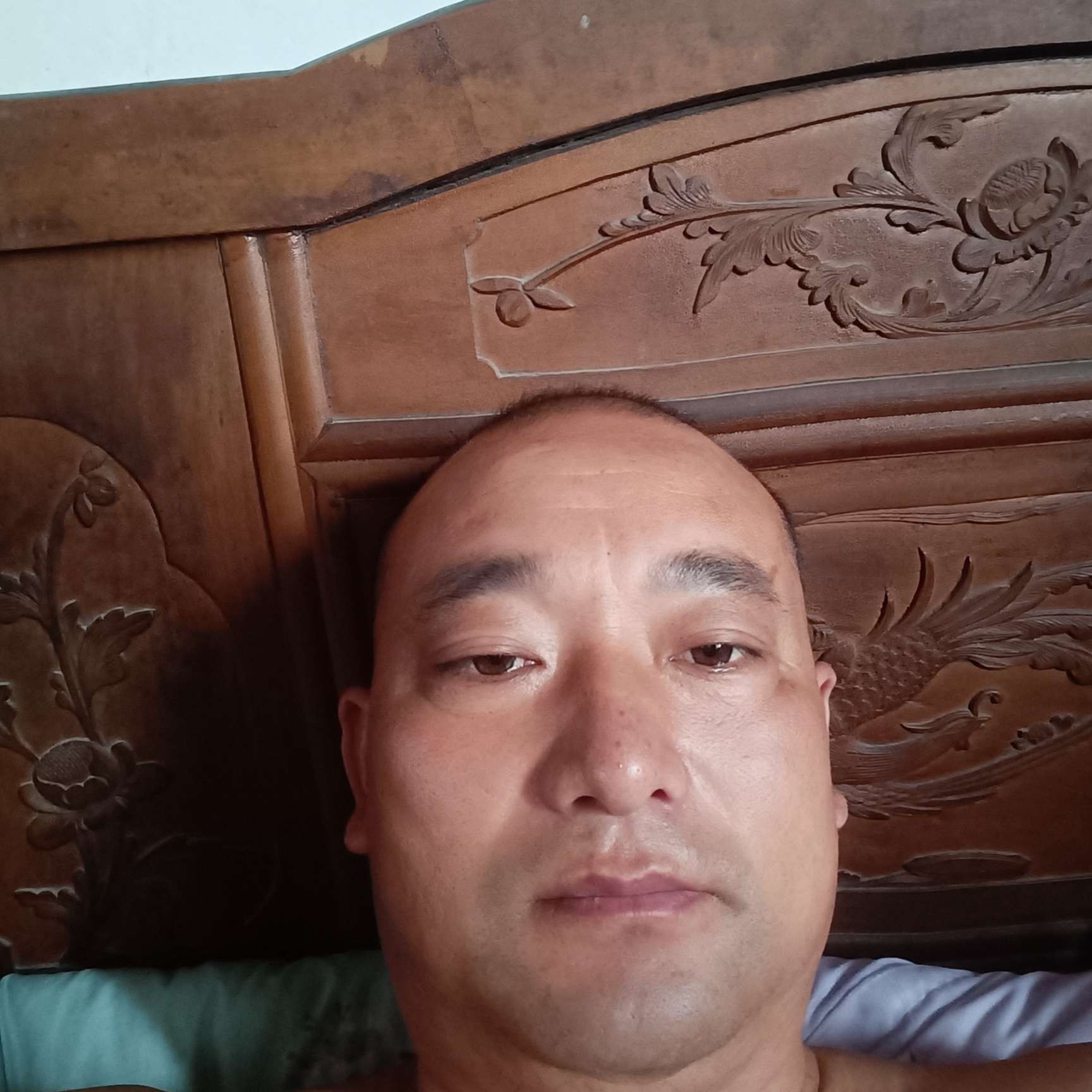 爱听歌回首乌龟的照片