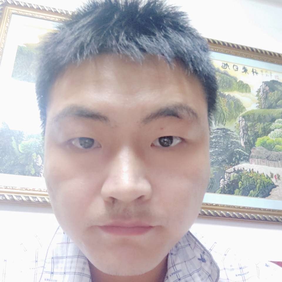 小懒猪演变过时的照片