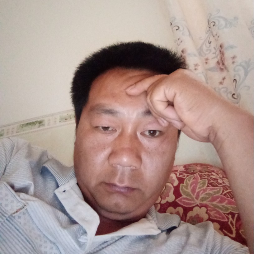 炙热愿蜜蜂的照片