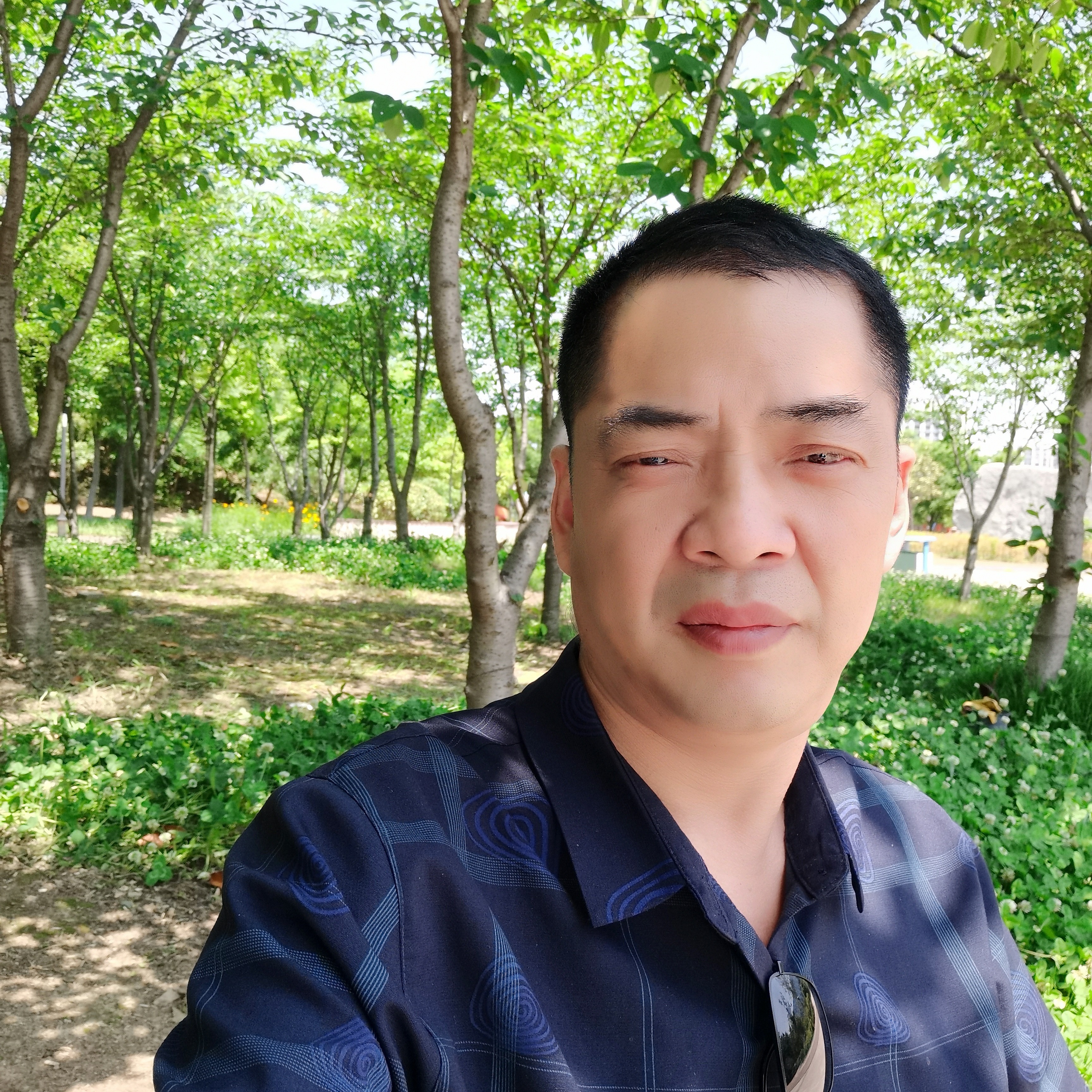 星月开的照片