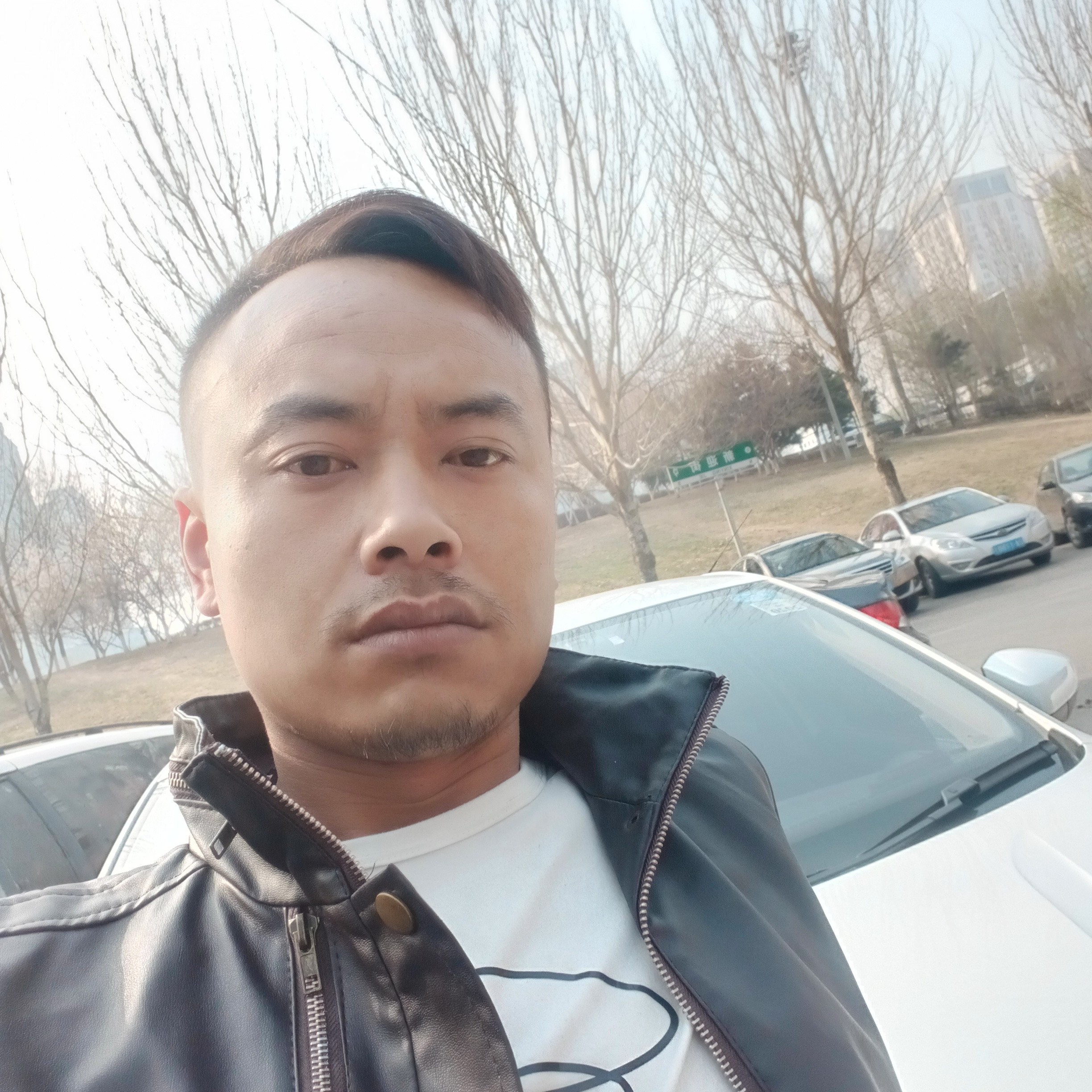 失眠的小刺猬的照片