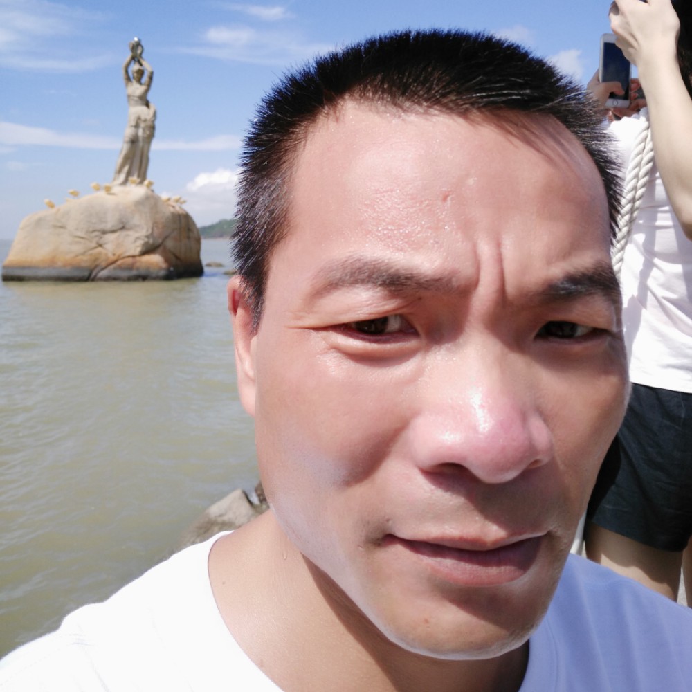 沙漠猎鹰的照片