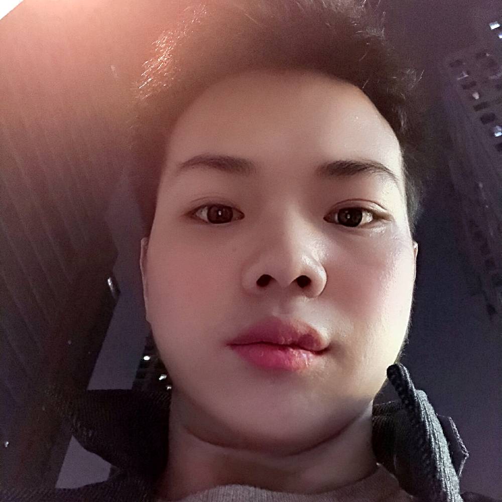 玫瑰呆萌的照片