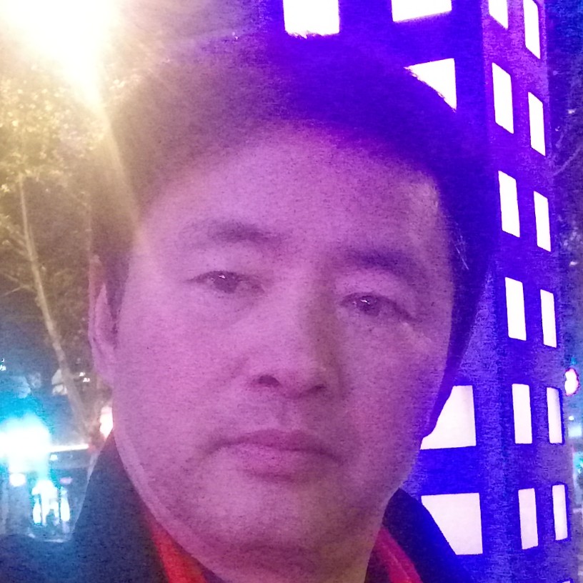 自觉大象的照片